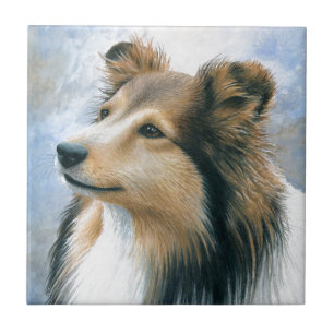 Hund122 Sheltie Collie Fliese