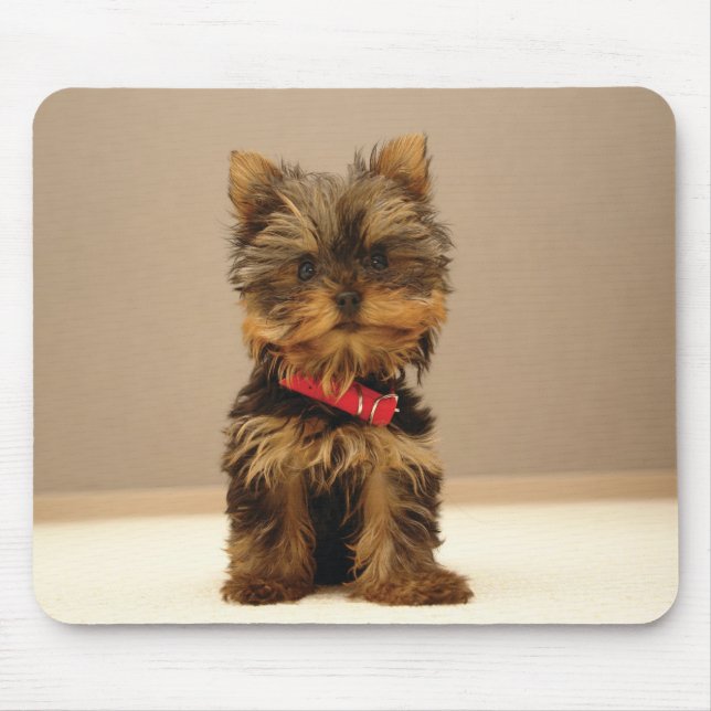 Hund1 Mousepad (Vorne)