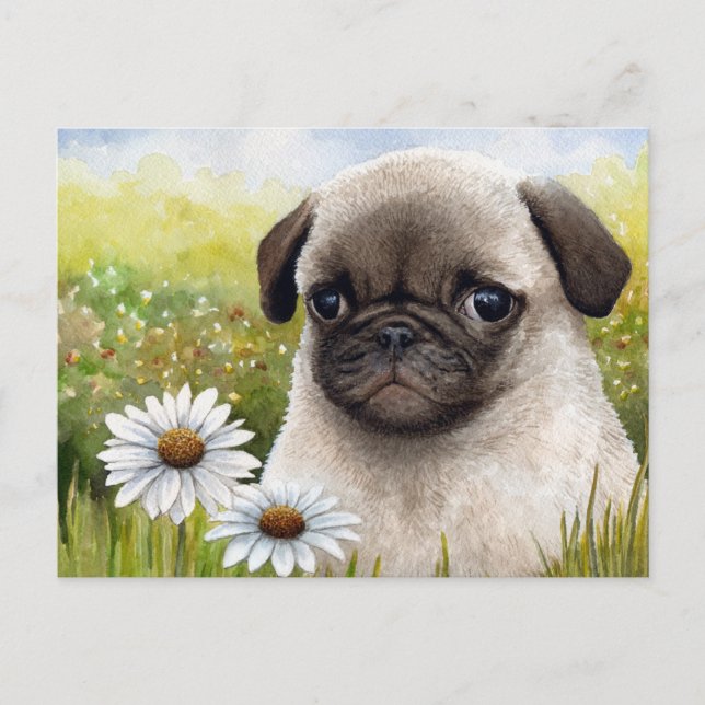 Hund 114 Postkarte (Vorderseite)