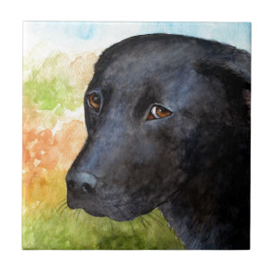 Hund 115 Black Labrador Fliese