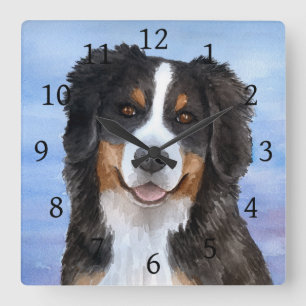 Hund 125 Berner Berg Quadratische Wanduhr
