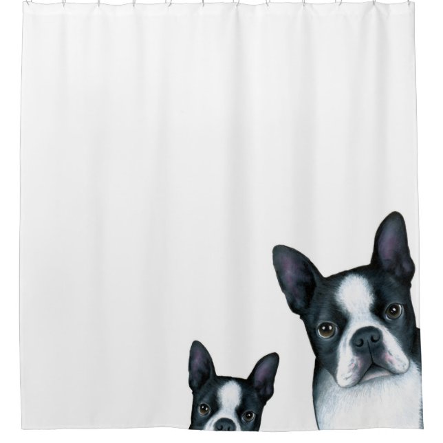 Hund 128 Boston Terrier Duschvorhang (Vorderseite)