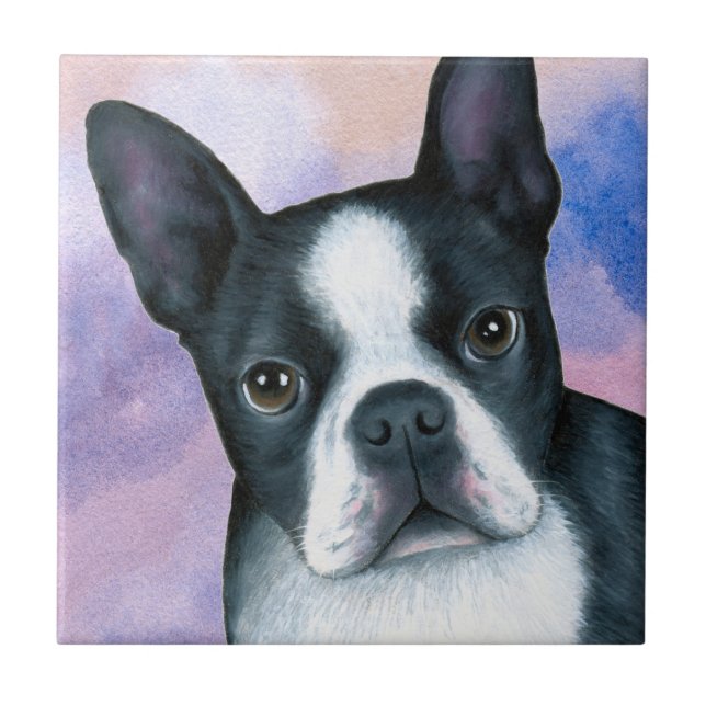 Hund 128 color Boston Terrier Fliese (Vorderseite)