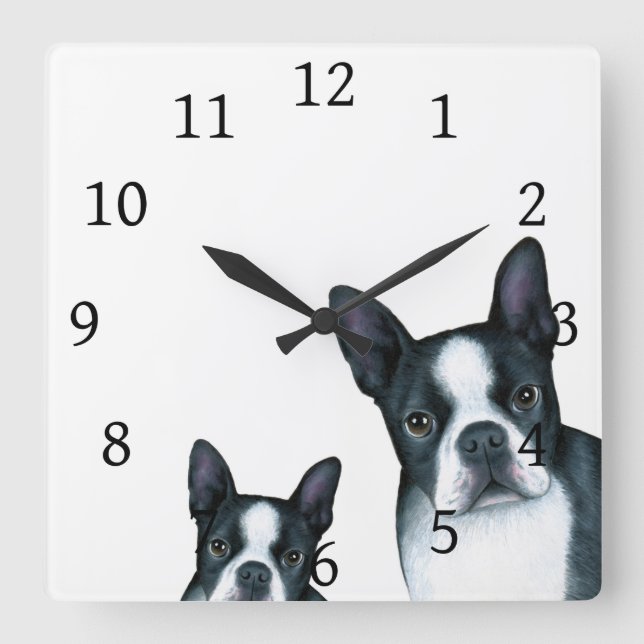 Hund 128 Schwarz-weiß Boston Terrier Quadratische Wanduhr (Vorderseite)