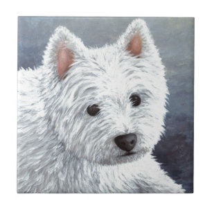 Hund 137 Weißwestie Fliese