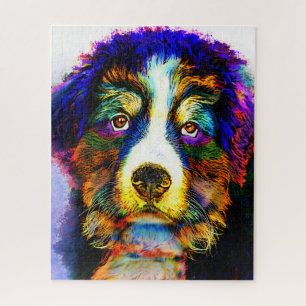 Hund 157 Multicolor Berner Berg
