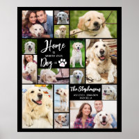 Hund 15 Fotos ZUHAUSE IST, WO UNSER HUND ist kunde