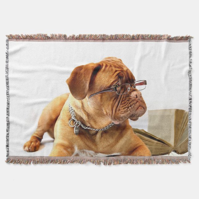 Hund 1 wirbellose Stelle Decke (Vorderseite)