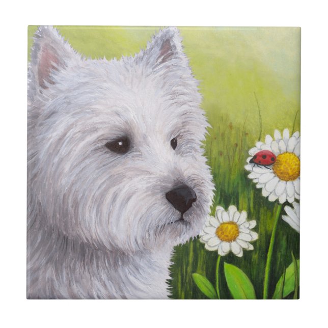 Hund 83 Westie Fliese (Vorderseite)