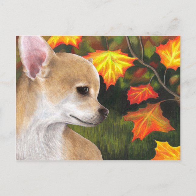 Hund 94 Chihuahua Postkarte (Vorderseite)