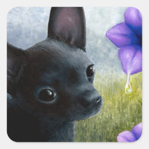 Hund 94 schwarz Chihuahua Quadratischer Aufkleber