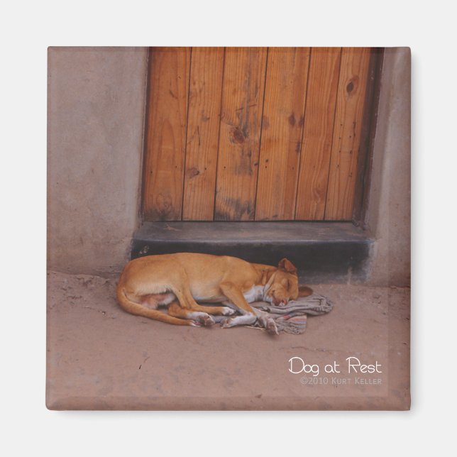 Hund am Erholung Square Magnet (Vorne)