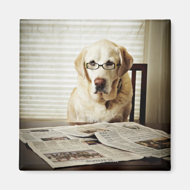 Hund am Morgen Magnet (Vorne)