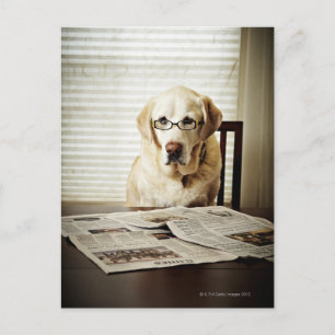 Hund am Morgen Postkarte