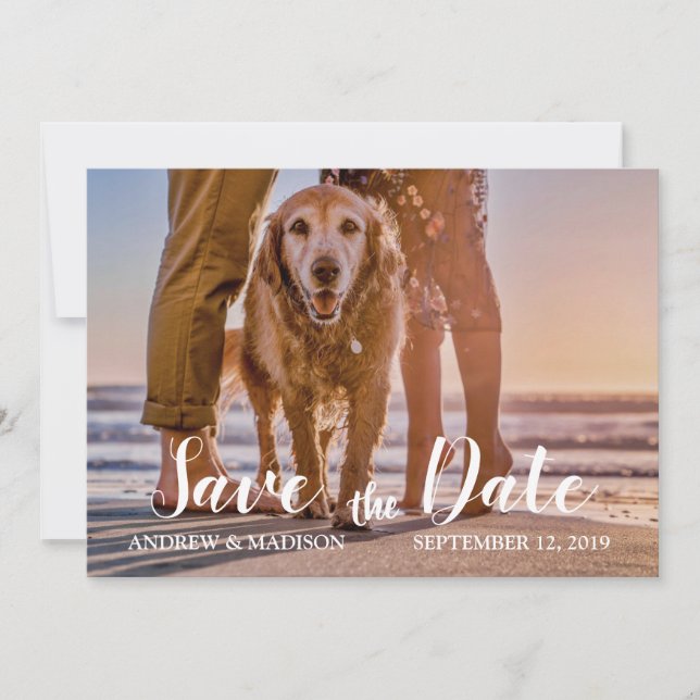 Hund am Strand mit Couple Save the Date Card (Vorderseite)