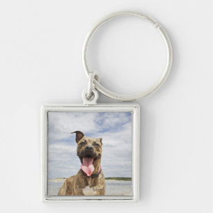 Hund am Strand Schlüsselanhänger