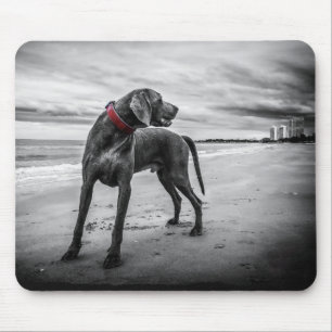 Hund am Strand Schwarz-Weiß-Foto mit rotem Halsban Mousepad