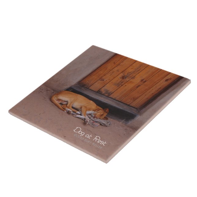 Hund an der Erholung Fliese (Seite)