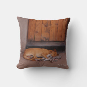 Hund an der Erholung Kissen