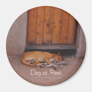 Hund an der Erholung Magnet