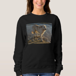 Hund an der Küste Sweatshirt