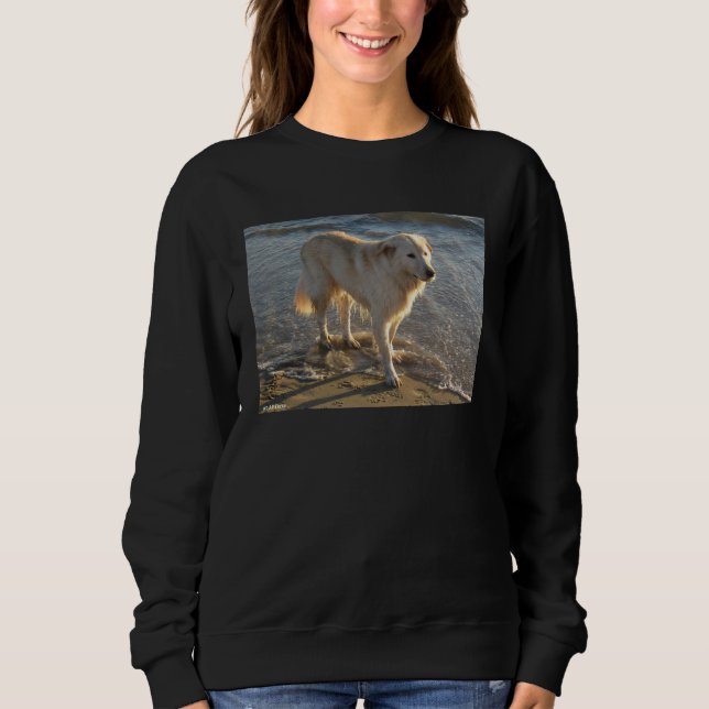 Hund an der Küste Sweatshirt (Vorderseite)