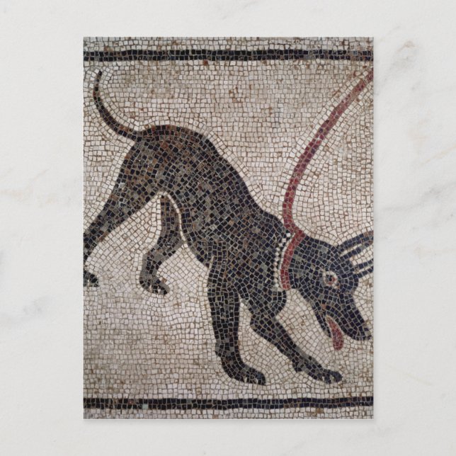 Hund an der Leine aus Pompeji Postkarte (Vorderseite)