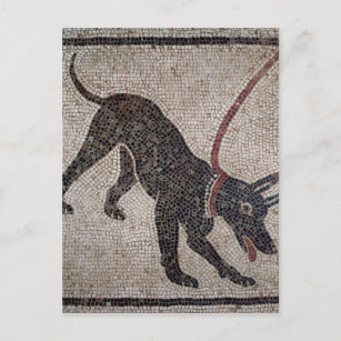 Pompeji Poster Zazzle Ch