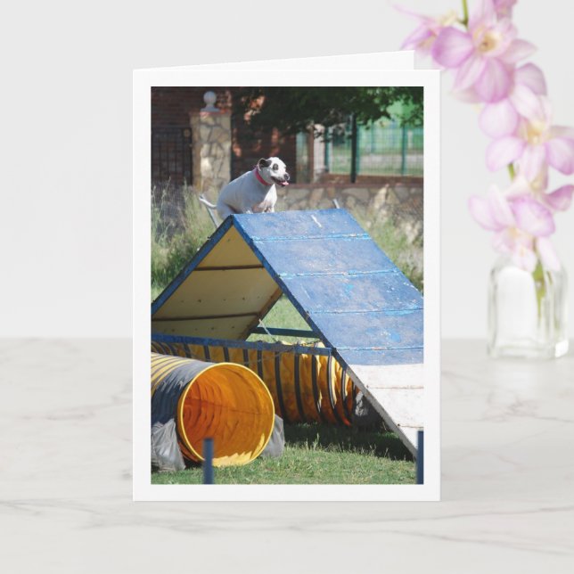 Hund an der Schulungsschule Karte (Orchidee)