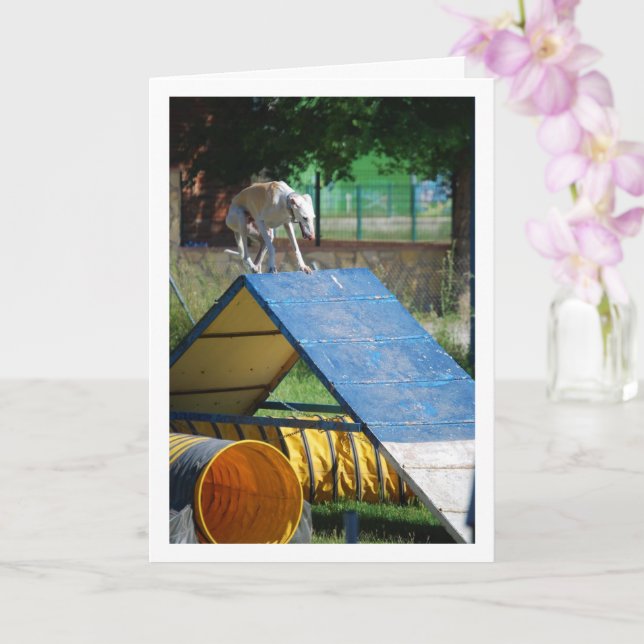 Hund an der Schulungsschule Karte (Orchidee)