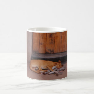 Hund an der Tasse der Erholung