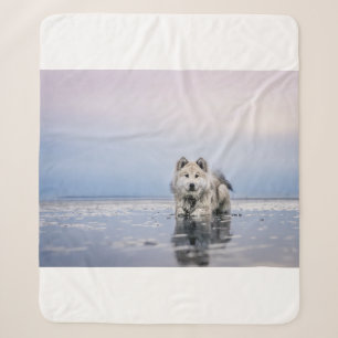 HUND AN EINEM RUHIGEN GEWÄSSER SHERPADECKE