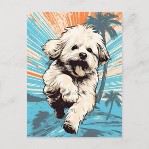 Hund an einem tropischen Strand bei Sonnenuntergan Postkarte