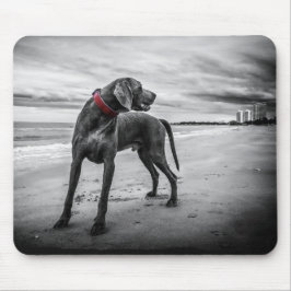 Hund auf Beach Black & White Foto mit Red Collar Mousepad