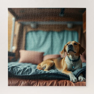 Hund auf Bett