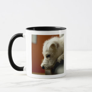 Hund auf Bürostuhl Tasse