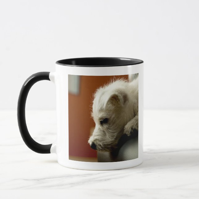 Hund auf Bürostuhl Tasse (Links)