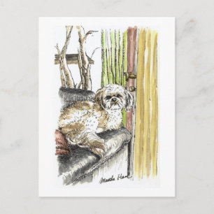 Hund auf Couch-Postkarten Postkarte