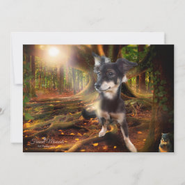 Hund auf der Suche nach Eichhörnchenfotos Feiertagskarte
