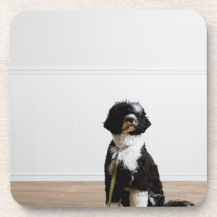 Hund auf einer Leine Untersetzer