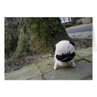 Hund auf einer Plasterung