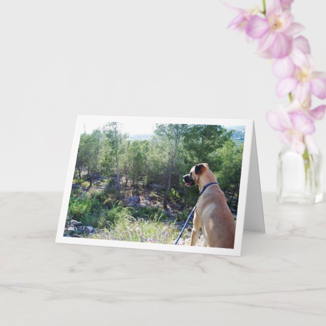 Hund auf Hügel-Portrait Karte (Orchidee)