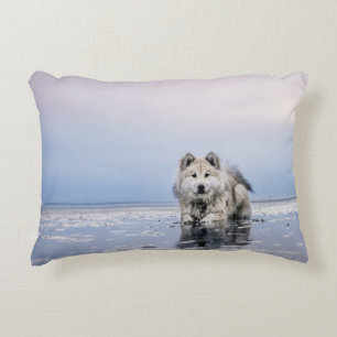 HUND AUF KALMKÖRPER DEKOKISSEN