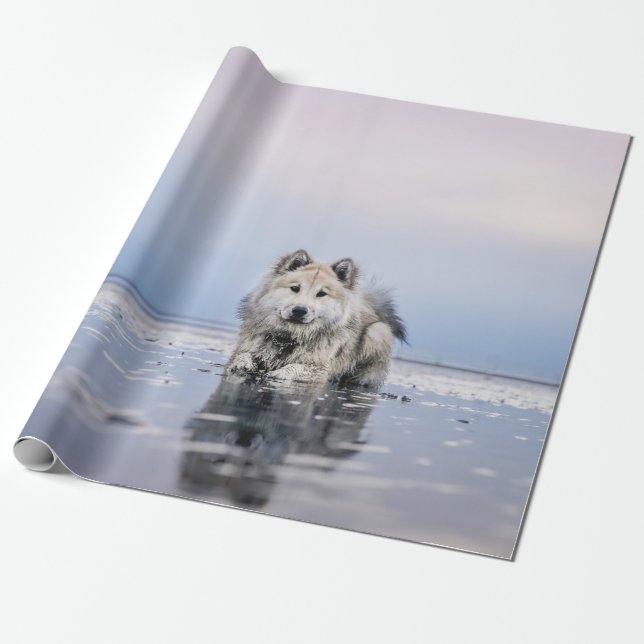 HUND AUF KALMKÖRPER GESCHENKPAPIER (Ungerollt)