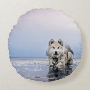 HUND AUF KALMKÖRPER RUNDES KISSEN