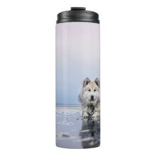 HUND AUF KALMKÖRPER THERMOSBECHER