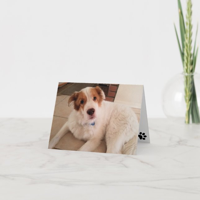 Hund auf leerer Notenkarte mit Pfotendruck Karte (Vorderseite)