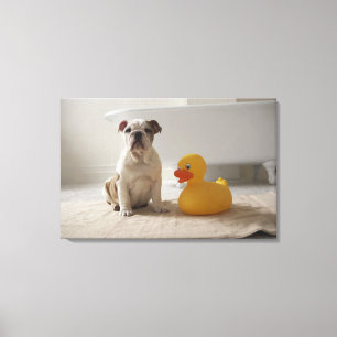 Hund auf Matte mit Plastikente Leinwanddruck