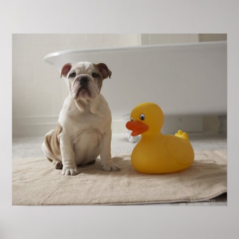 Badezimmer Poster | Zazzle.ch