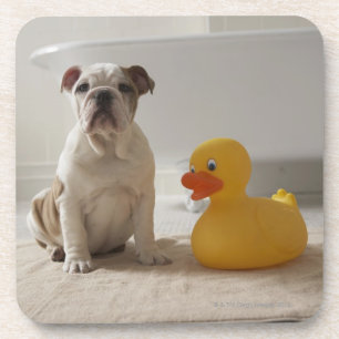 Hund auf Matte mit Plastikente Untersetzer